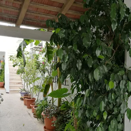Casa Carmeleni - Ole Solutions Holiday home Jerez de la Frontera